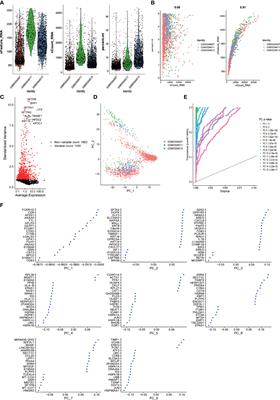 Cell Trajectory-Related Genes of Lung Adenocarcinoma Predict Tumor Immune Microenvironment and Prognosis of Patients